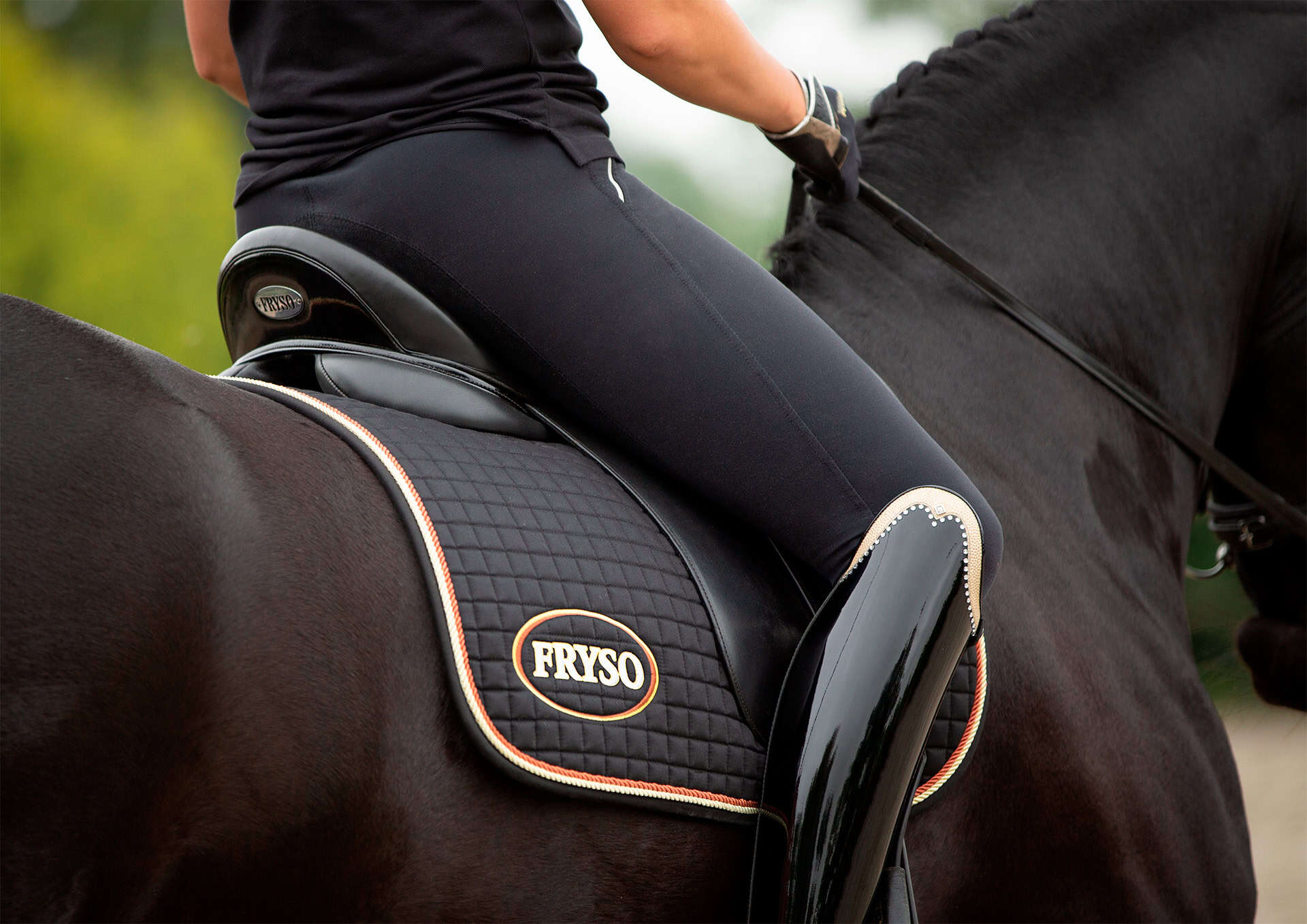 Read more about the article Fryso Zadels; Het perfecte zadel voor jouw Friese paard 2026