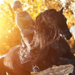 Benodigdheden bij de aankoop van een Fries paard, complete checklist voor een goede start